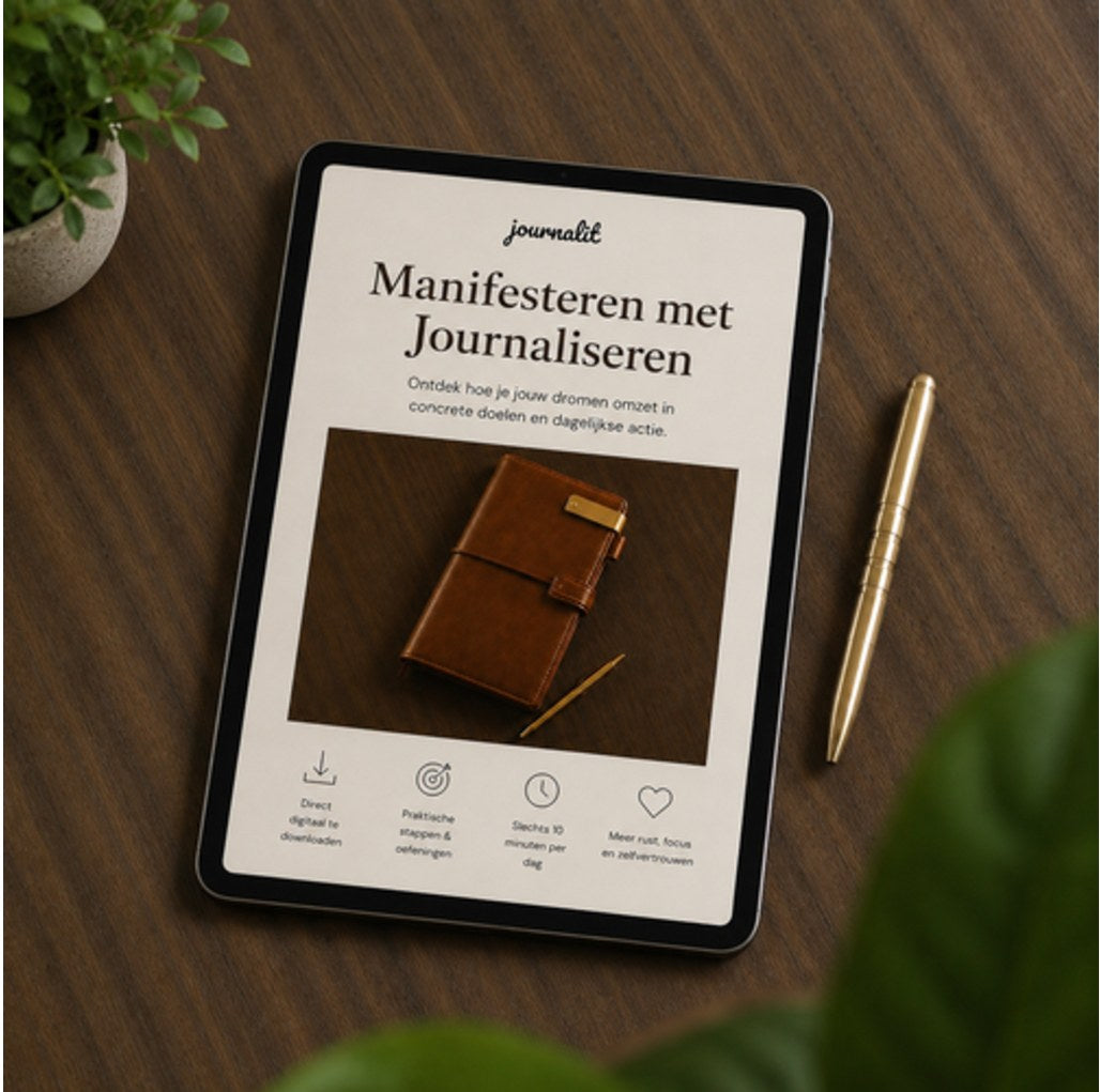 Manifesteren met Journaliseren - Gids